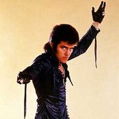 Alvin Stardust - List pictures