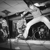 Vanilla Pod - List pictures