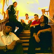 Allele - List pictures