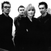 Cranberries - List pictures