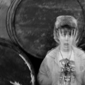 Hibou - List pictures