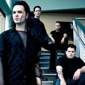 Imperative Reaction - List pictures