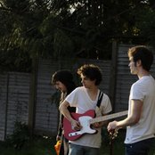 Midnight Beast - List pictures