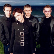 Cranberries - List pictures