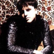 Hedwig And The Angry Inch - List pictures