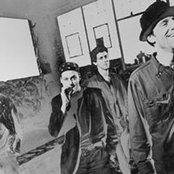 Cop Shoot Cop - List pictures