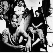 Such A Surge - List pictures