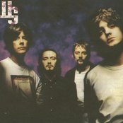 Seahorses - List pictures