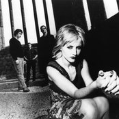 Cranberries - List pictures