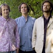 Delillos - List pictures