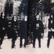 Havoc - List pictures