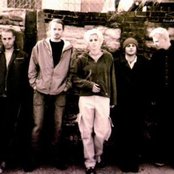 K's Choice - List pictures