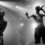 The Opposites - List pictures