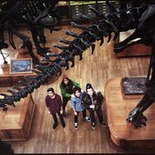 Griefjoy - List pictures