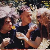 The Melvins - List pictures