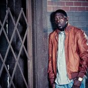 Sino - List pictures