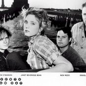 Eleventh Dream Day - List pictures