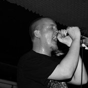 Mastino - List pictures