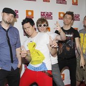 Rotten Bark - List pictures