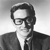 Holly Buddy - List pictures