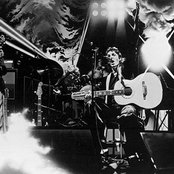 Wings - List pictures