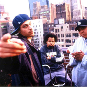 Dilated Peoples - List pictures