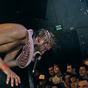 These Arms Are Snakes - List pictures