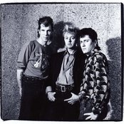 Stray Cats - List pictures