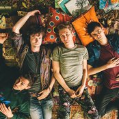 Glass Animals - List pictures