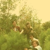 Kins - List pictures