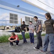 Finch - List pictures