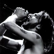 Dave Gahan - List pictures