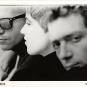 Rainbirds - List pictures