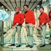 Sam The Sham & The Pharaohs - List pictures