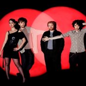 Guillemots - List pictures