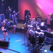 Blue King Brown - List pictures