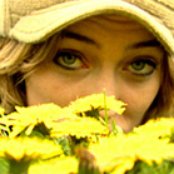 The Forecast - List pictures