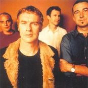 Mutton Birds - List pictures