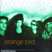 Promise - List pictures