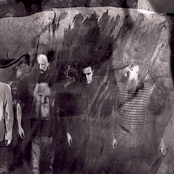 Being As An Ocean - List pictures