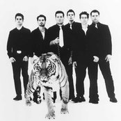 Rocket From The Crypt - List pictures