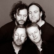 Delillos - List pictures