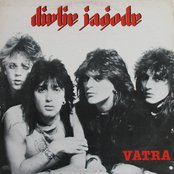 Divlje Jagode - List pictures