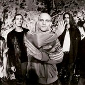 Soak - List pictures