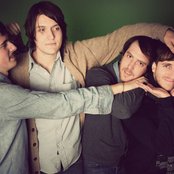 Miniature Tigers - List pictures