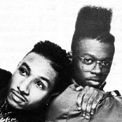 Black Sheep - List pictures