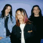 Flemita - List pictures