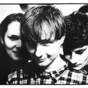 Stereolab - List pictures