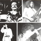 Toad - List pictures