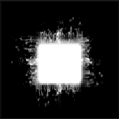 Schism - List pictures